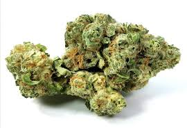 Bandwagon - Raspberry Glue - 3.5g