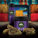 MTL - Gas N' Up - 3.5g