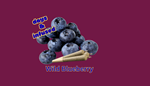 Days & Infused - Wild Blueberry IPR - 3x0.5g