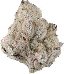 Hidden Stash - Platinum Lemon Cherry Gelato - 5g