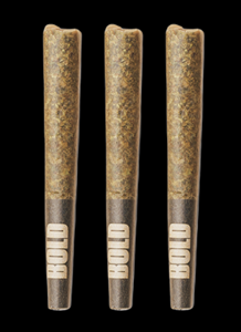 BOLD - Cool AID Kush - 3x0.5g