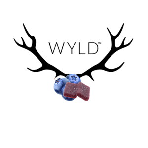 WYLD - Blueberry - 10x10mg THC