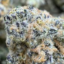 Hidden Stash - Platinum Lemon Cherry Gelato - 3.5g